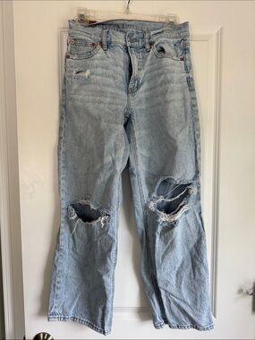 American Eagle Outfitters Light Blue Distressed Straight Leg Jeans